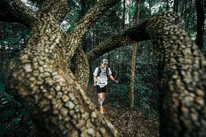 BIB: 
                            <button type="button" onclick="openModal(25394092)" class="btn btn-primary btn-sm float-right btn-popup" data-toggle="modal" data-target=".modal-high-quality">
                        <i class="fas fa-shopping-cart"></i> Add to Cart
                    </button>
                                            <button type="button" onclick="isThisMe(25394092, true)" class="btn btn-success btn-sm float-right btn-popup btn-isme hidden" data-toggle="tooltip" data-placement="bottom" title="นี่คือรูปของคุณใช่ไหม คลิกที่นี่เพื่อเอาเข้าอัลบั้ม">
                        <i class="fas fa-plus"></i> Add to album
                    </button>
                    <button type="button" onclick="isThisMe(25394092, false)" class="btn btn-warning btn-sm float-right btn-popup btn-isnotme hidden">
                        <i class="fas fa-ban"></i> Remove from album
                    </button>